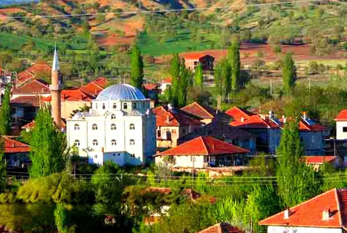 Web Tasarım